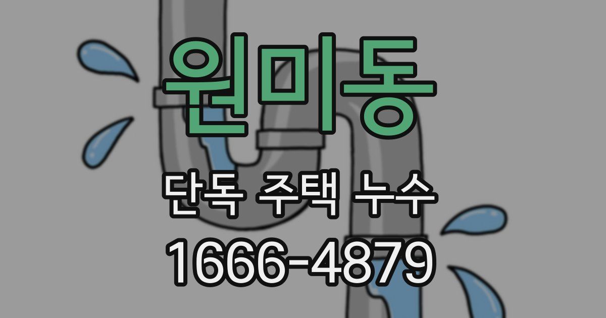 원미동 단독 주택 누수