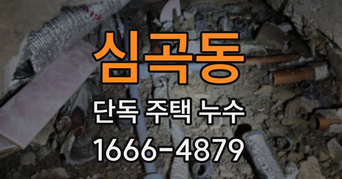 심곡동 단독 주택 누수