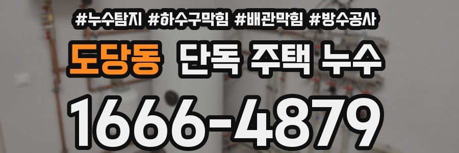 도당동 단독 주택 누수