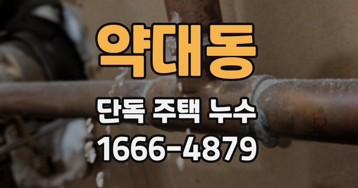 약대동 단독 주택 누수