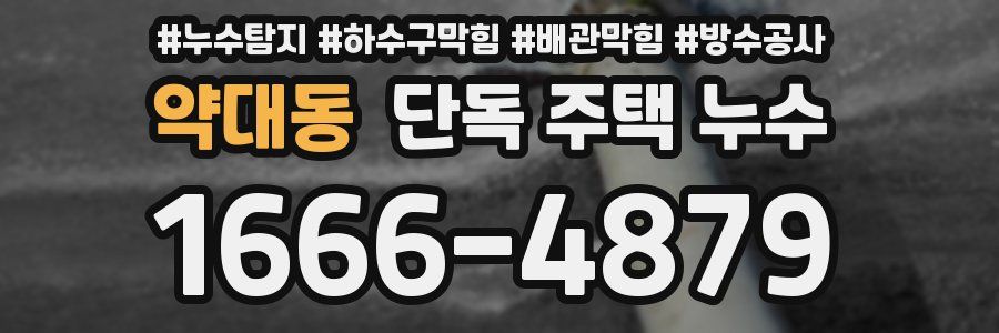 약대동 단독 주택 누수
