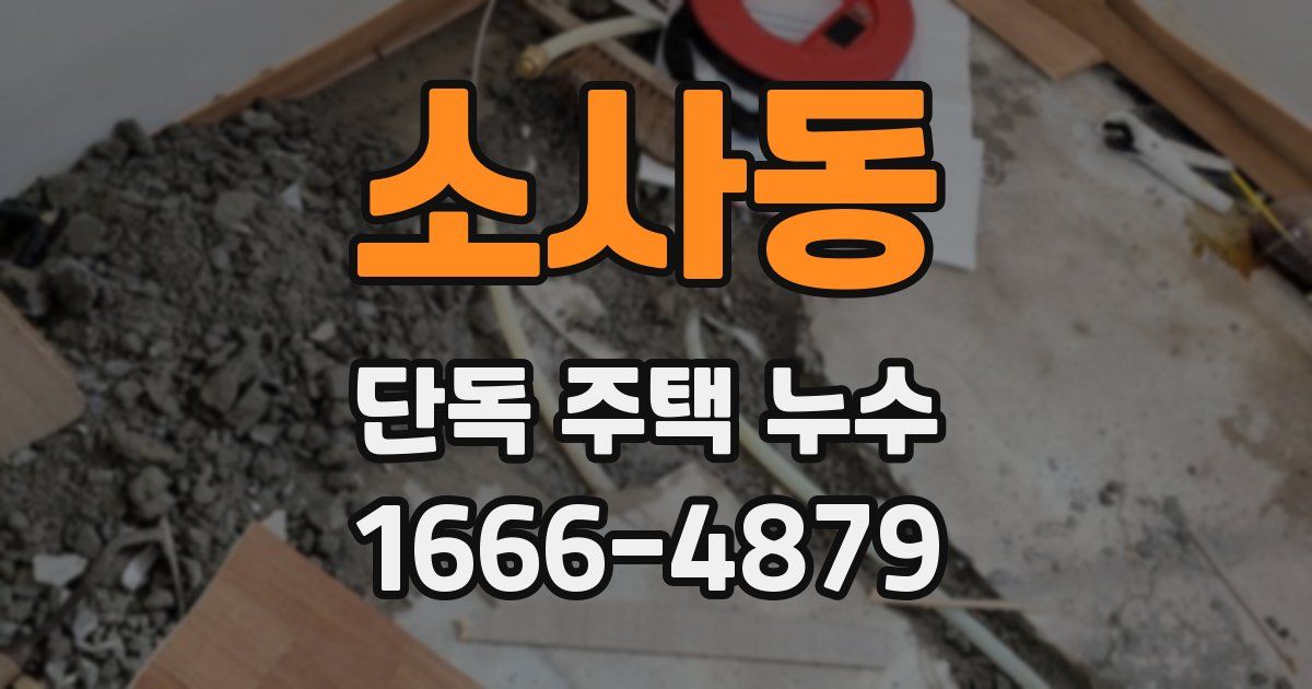 소사동 단독 주택 누수