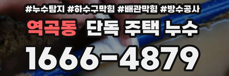 역곡동 단독 주택 누수