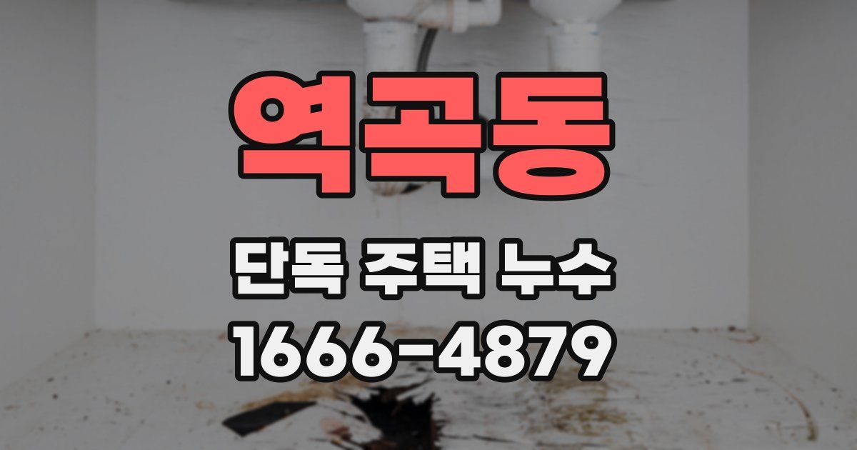 역곡동 단독 주택 누수