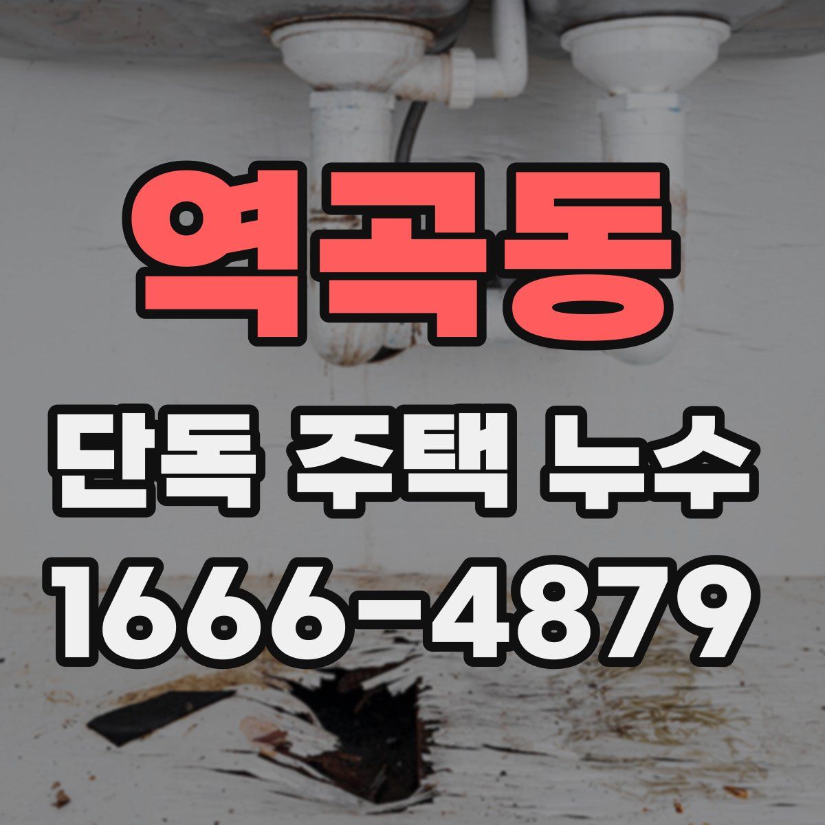 역곡동 단독 주택 누수
