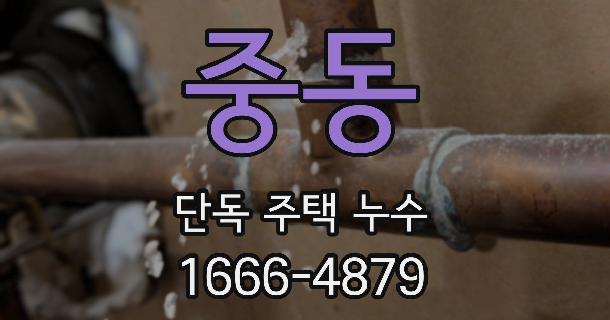 중동 단독 주택 누수