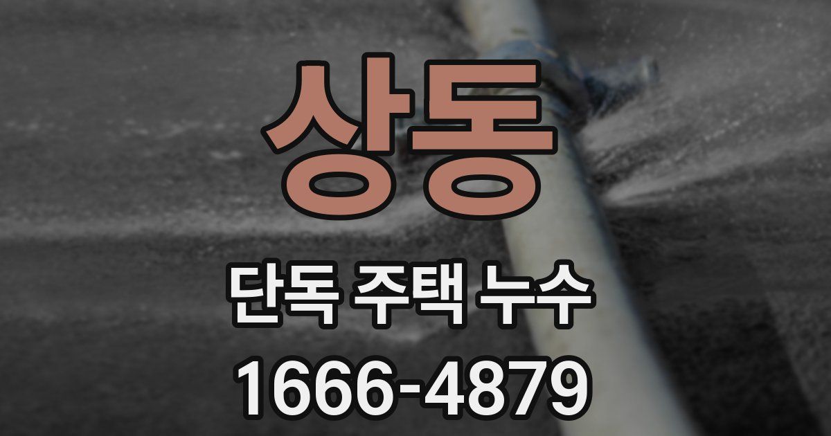 상동 단독 주택 누수