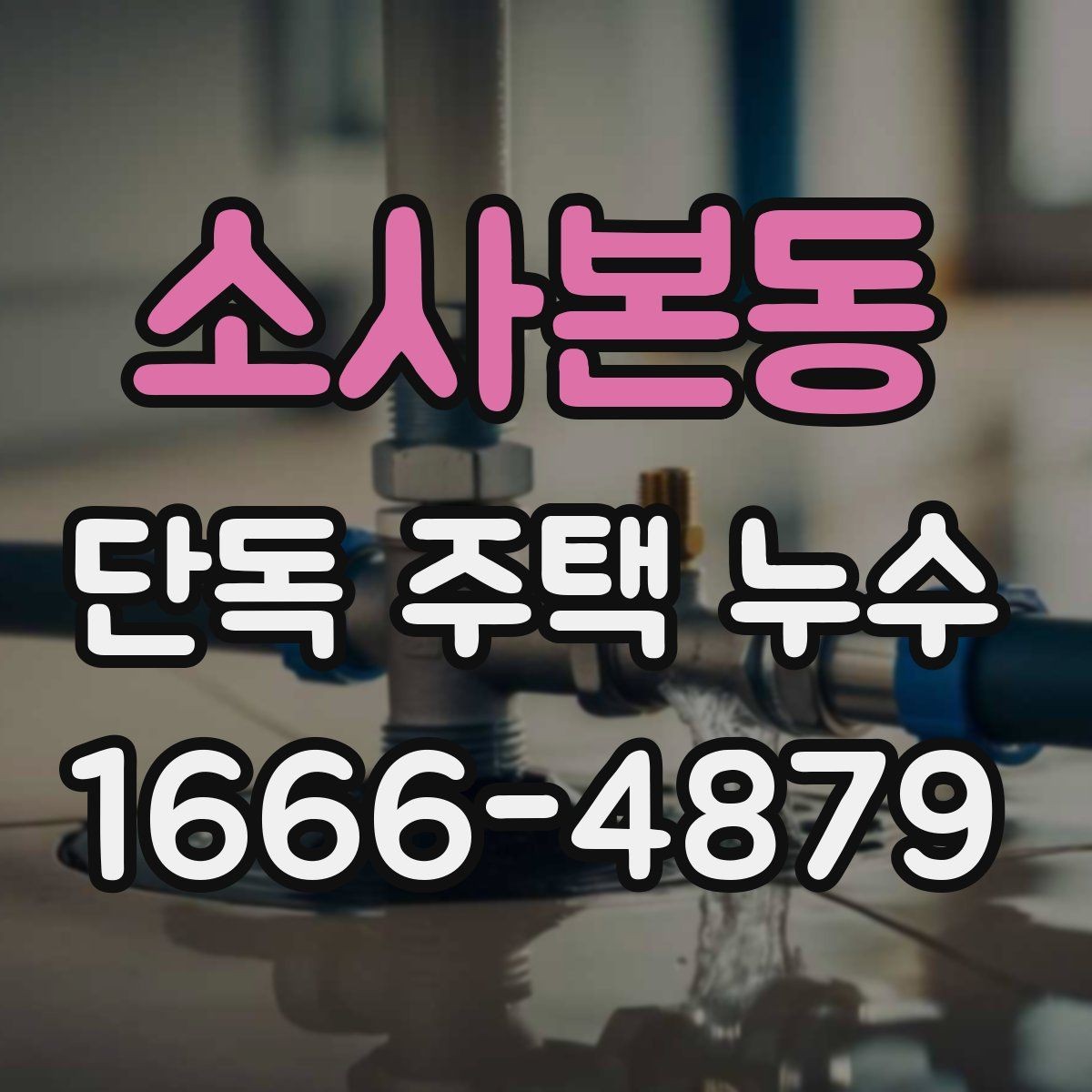 소사본동 단독 주택 누수 진단 업체 상담 전 질문