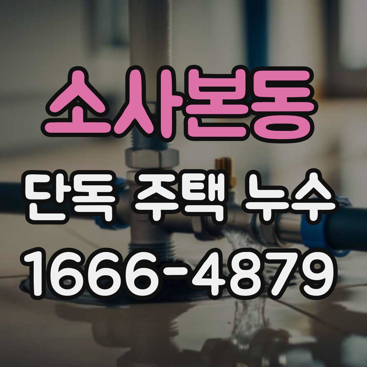 소사본동 단독 주택 누수