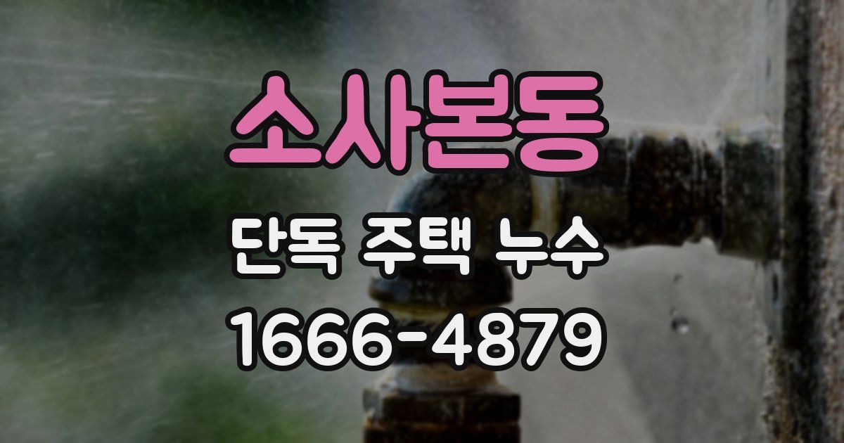 소사본동 단독 주택 누수