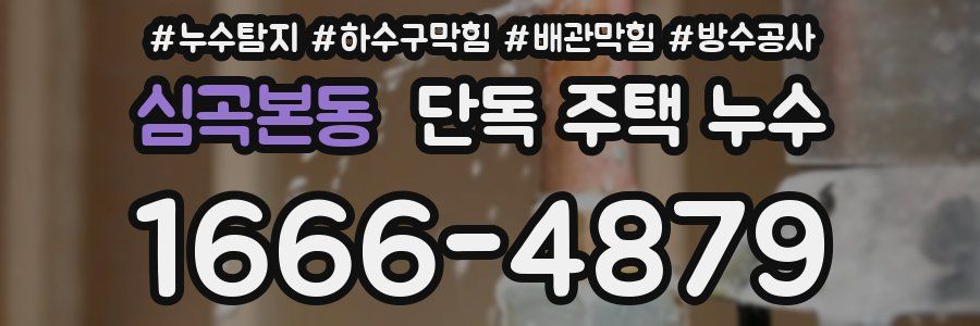 심곡본동 단독 주택 누수