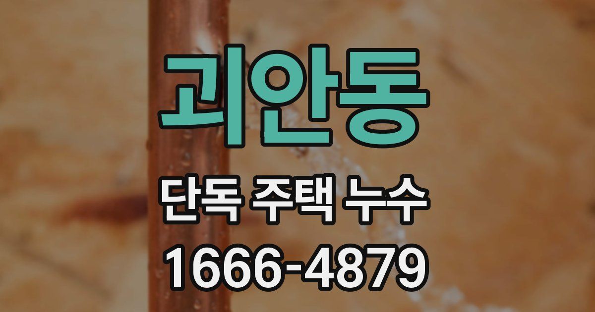 괴안동 단독 주택 누수