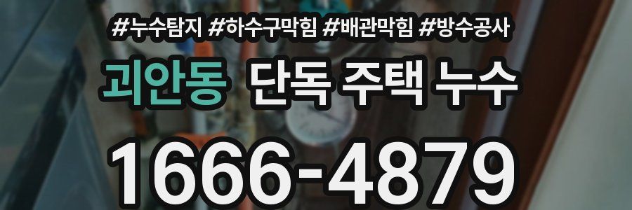 괴안동 단독 주택 누수