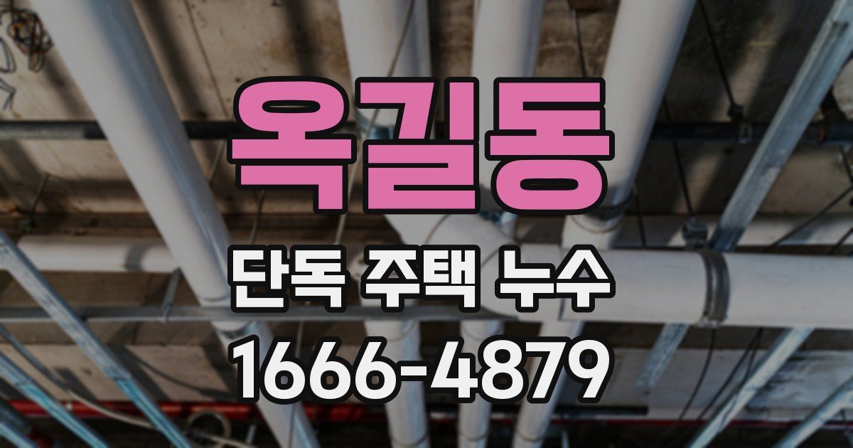 옥길동 단독 주택 누수
