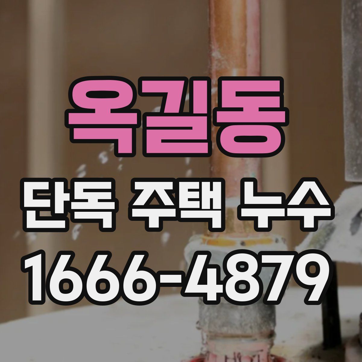 옥길동 단독 주택 누수