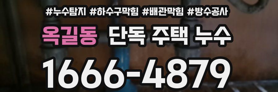 옥길동 단독 주택 누수