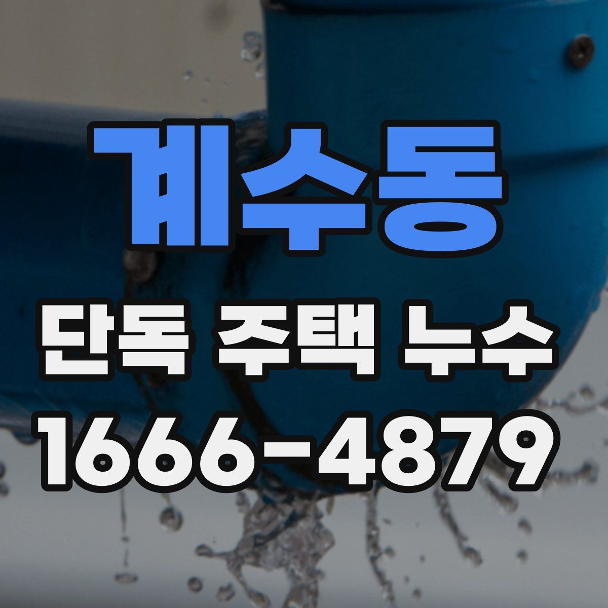 계수동 단독 주택 누수