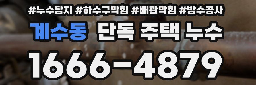 계수동 단독 주택 누수