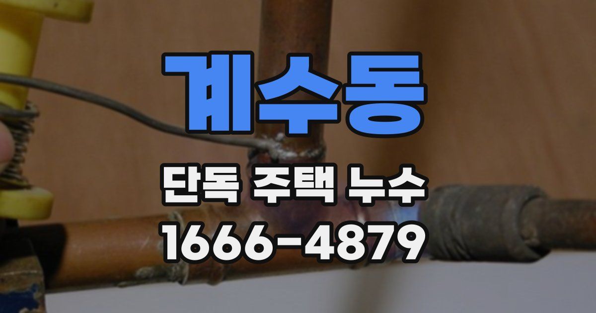 계수동 단독 주택 누수
