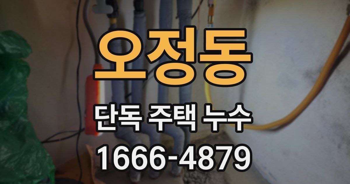 오정동 단독 주택 누수