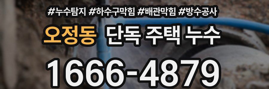 오정동 단독 주택 누수