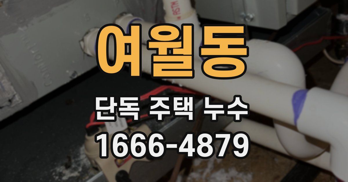여월동 단독 주택 누수