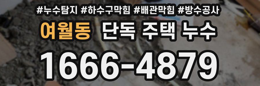 여월동 단독 주택 누수