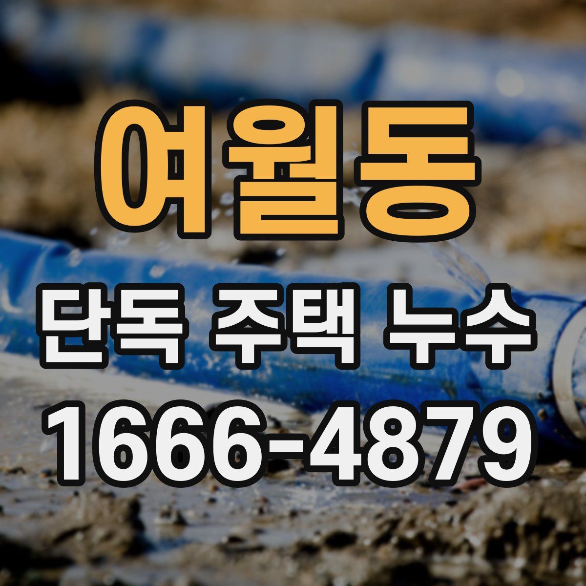 여월동 단독 주택 누수