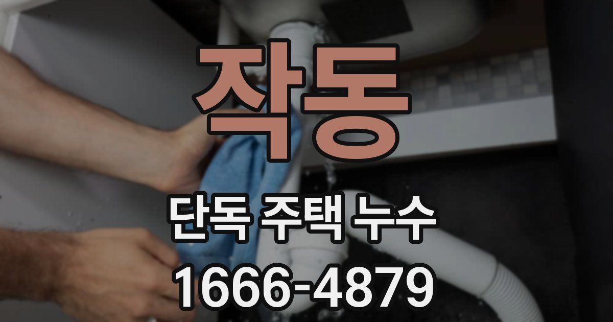 작동 단독 주택 누수