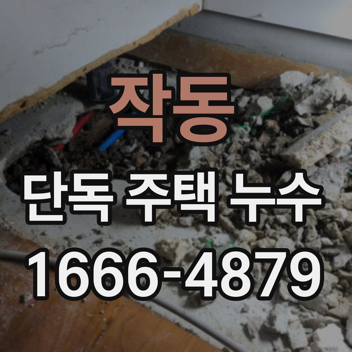 작동 단독 주택 누수
