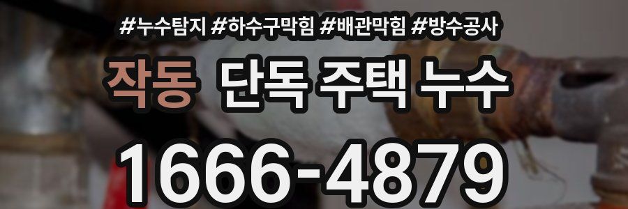 작동 단독 주택 누수