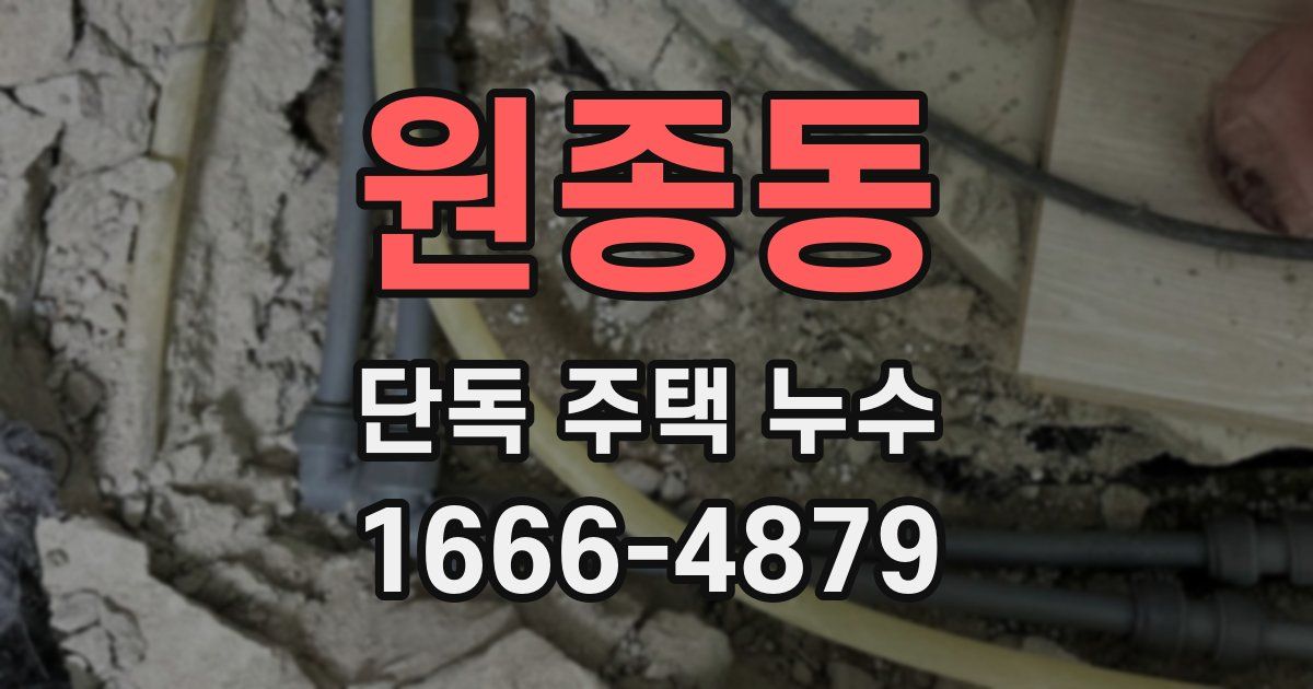 원종동 단독 주택 누수