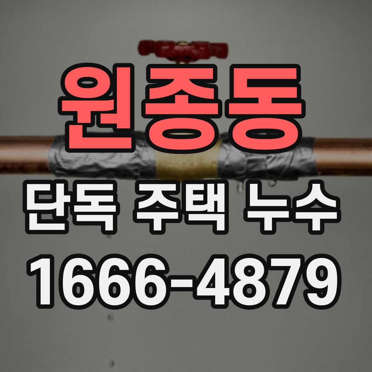 원종동 단독 주택 누수
