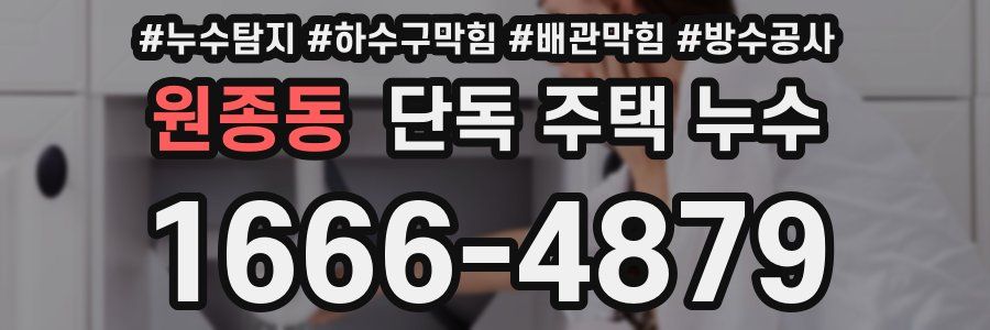 원종동 단독 주택 누수