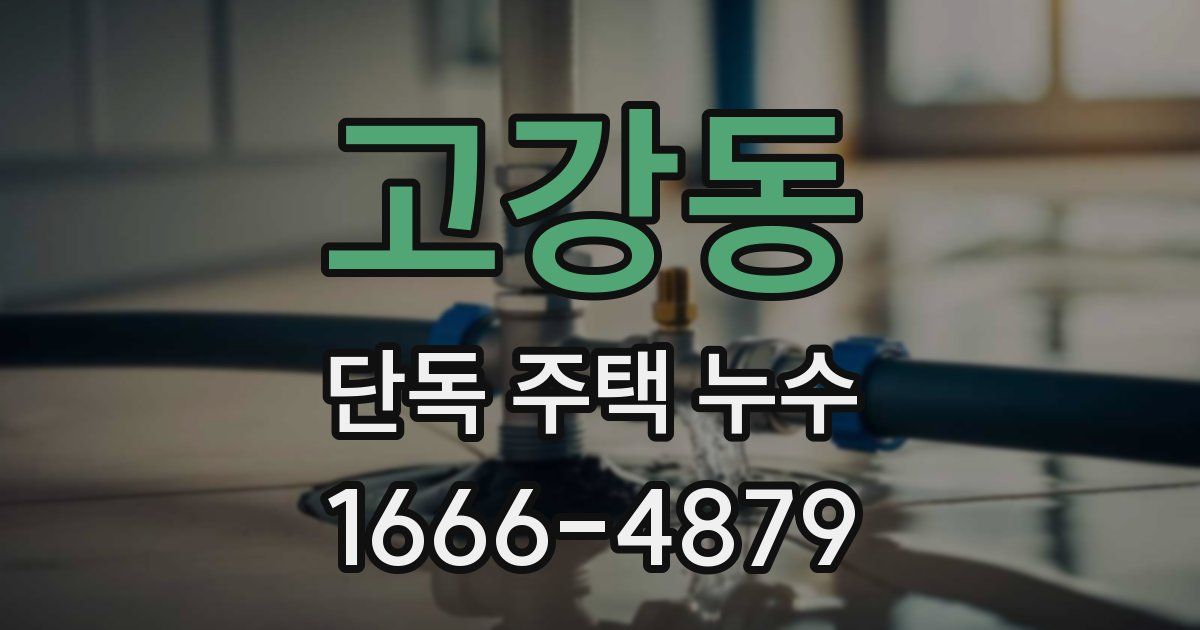 고강동 단독 주택 누수