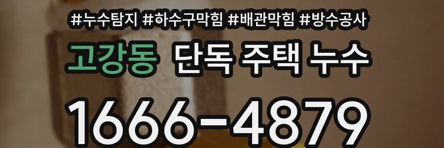 고강동 단독 주택 누수