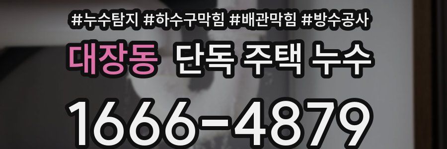 대장동 단독 주택 누수