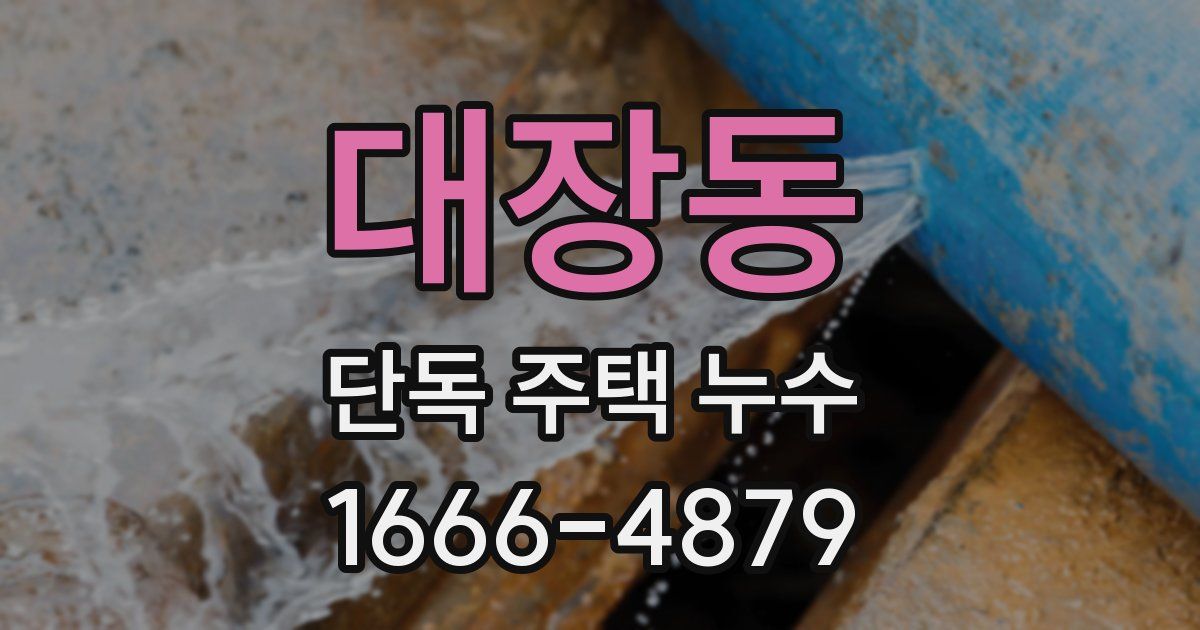 대장동 단독 주택 누수