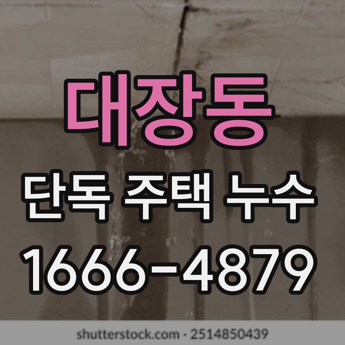 대장동 단독 주택 누수