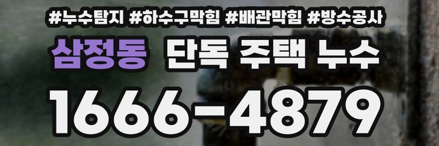 삼정동 단독 주택 누수
