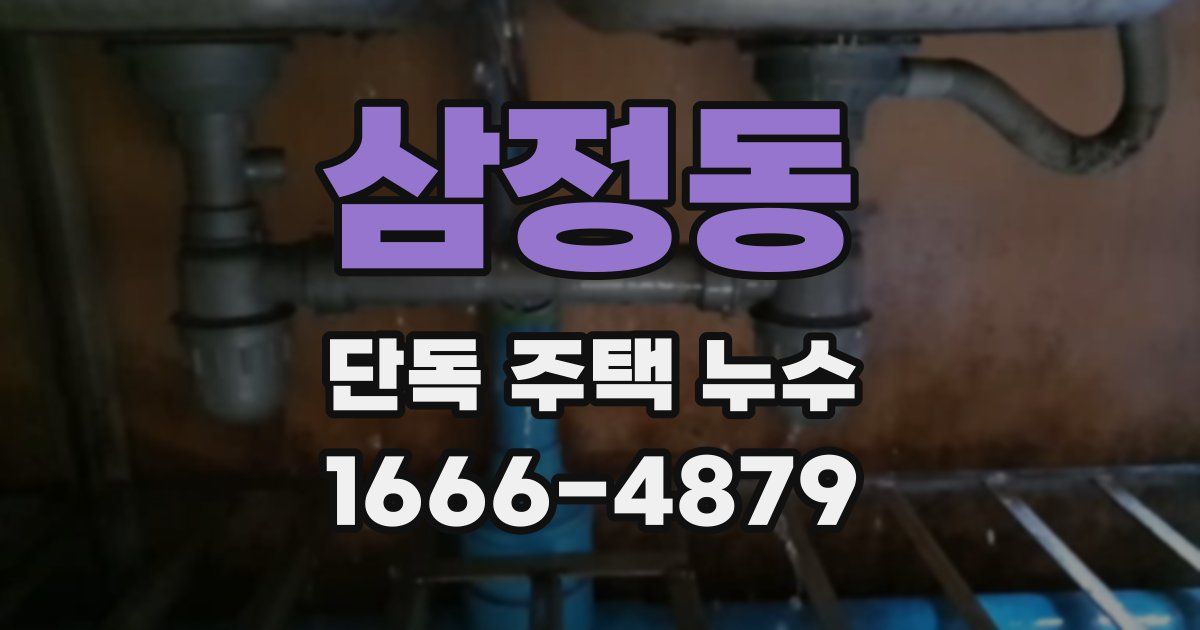 삼정동 단독 주택 누수
