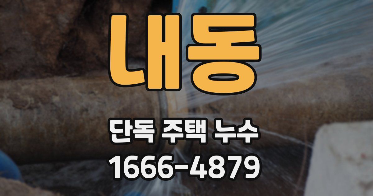 내동 단독 주택 누수