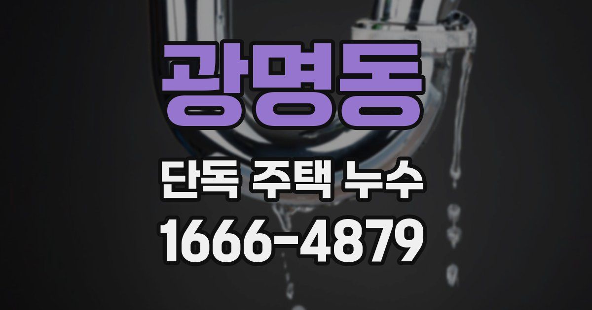 광명동 단독 주택 누수