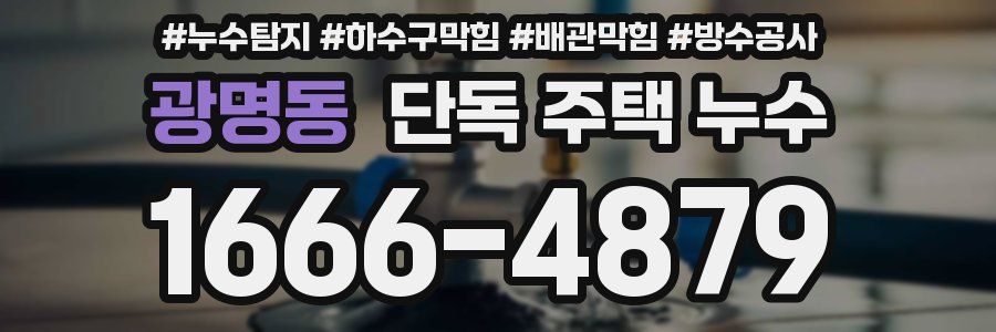 광명동 단독 주택 누수