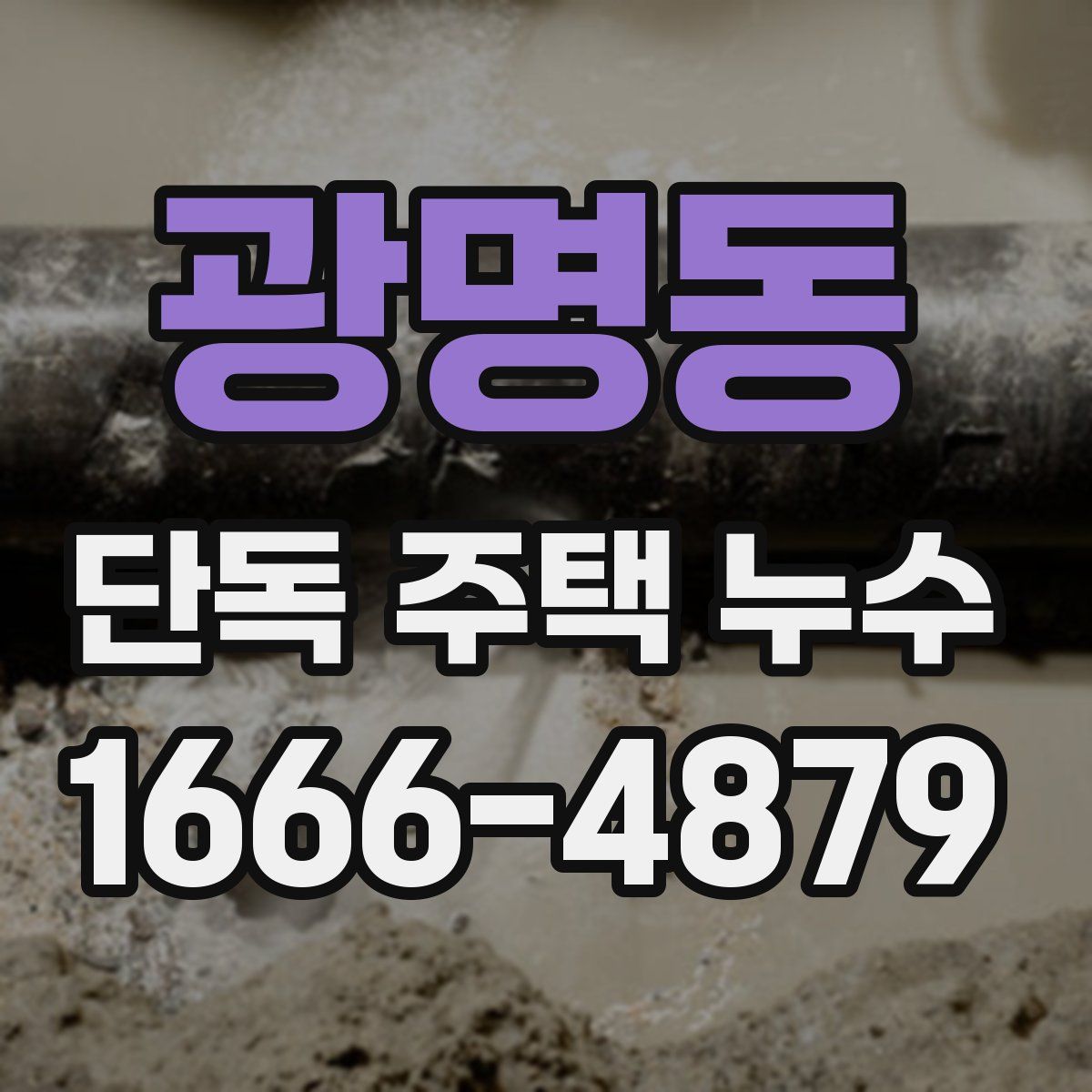 광명동 단독 주택 누수