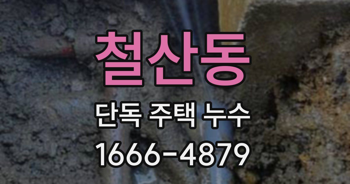 철산동 단독 주택 누수