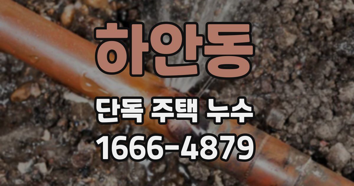 하안동 단독 주택 누수