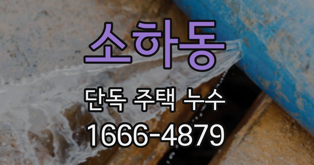 소하동 단독 주택 누수