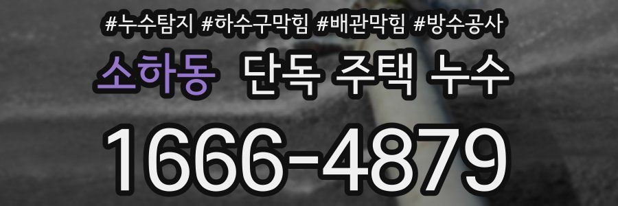소하동 단독 주택 누수