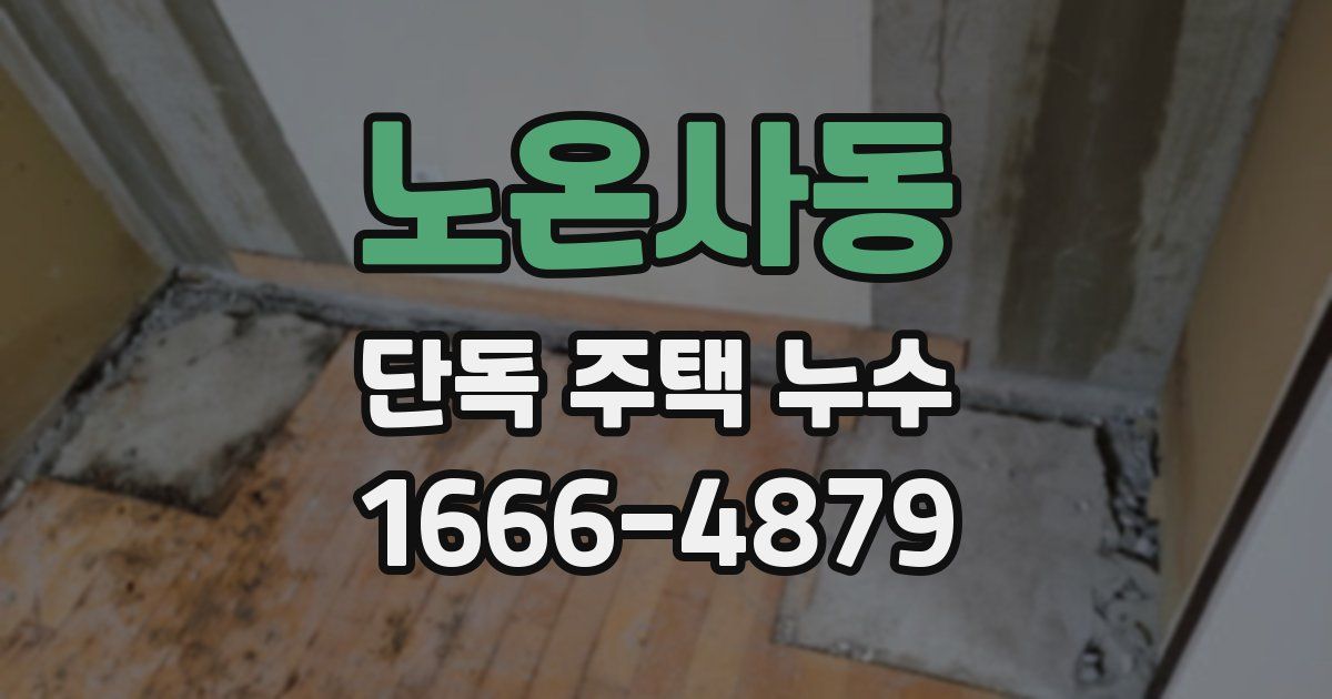 노온사동 단독 주택 누수
